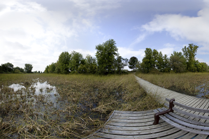 Photographie panoramique prise du haut de la tour du parc écologique de l'Anse du Port avec vue sur le fleuve