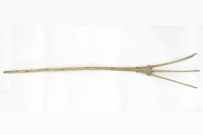 19th century pitchfork, used to collect hay