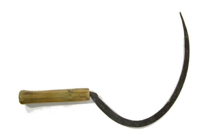 19th century sickle, used to harvest grain