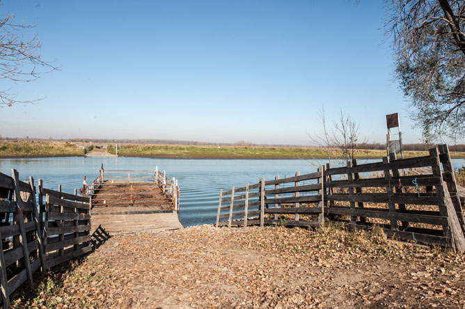 Barge used to carry livestock to the community pasture on Île du Moine.