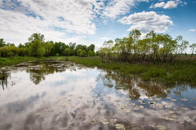 Reflections on the water in the marsh of Baie de Lavallière