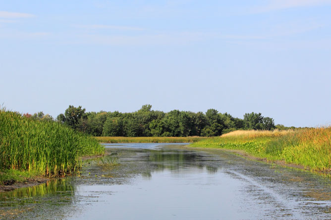 Un chenal étroit dans l'archipel du lac Saint-Pierre