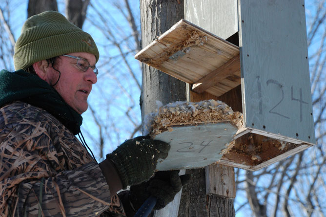 Un homme examinant le contenu d'un nichoir à Canard branchu près d'un arbre.