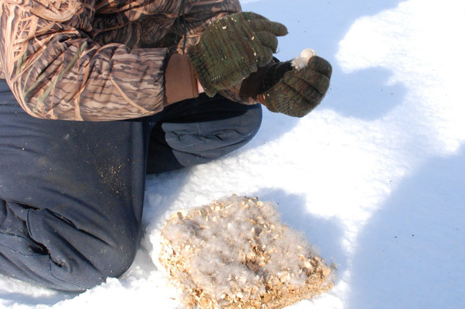 A man, crouching in the snow, examines a Wood Duck nesting box.