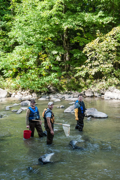 Three men stand in the middle of the river.