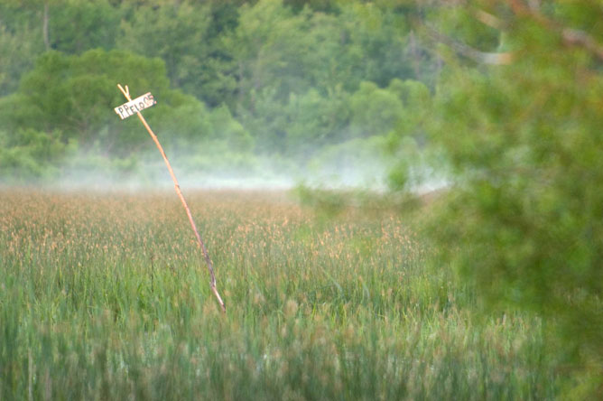 Marker placed in a mist-covered marsh to indicate a hunter's location.