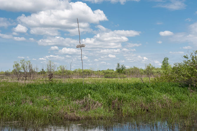 Marker placed in a marsh to indicate a hunter's location.