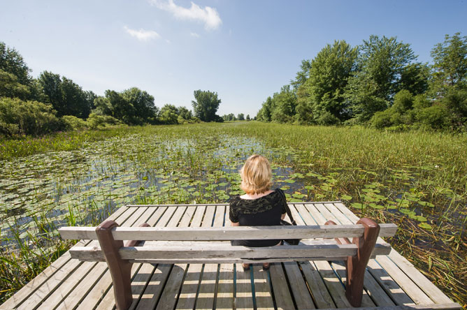  Femme assise sur un banc installé au milieu d'un quai flottant sur un herbier aquatique.