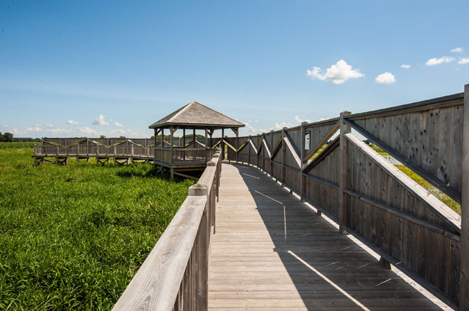 Birdwatching blind on the floodplain near Saint-Barthélémy