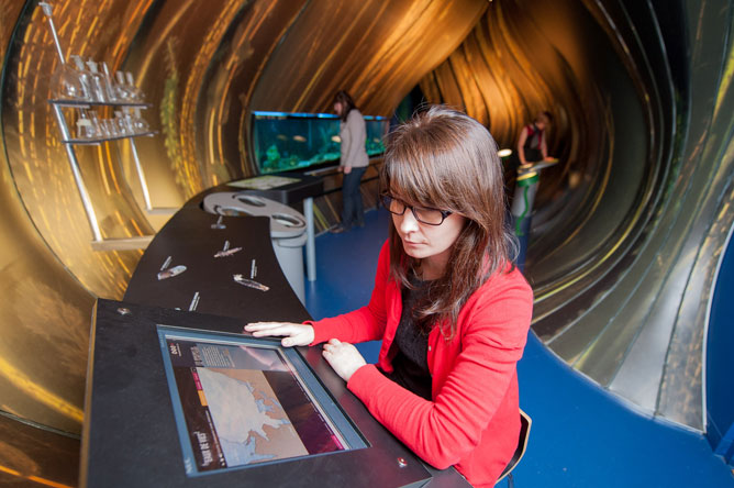 Three women in the section of the permanent exhibit that presents underwater life.