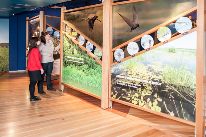 Two women examine photographs of birds in the Biophare's permanent exhibit.