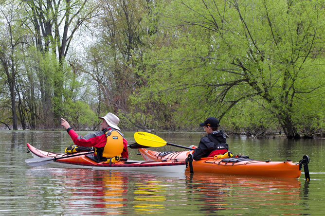 Deux hommes en kayaks sur un chenal bordé d'arbres