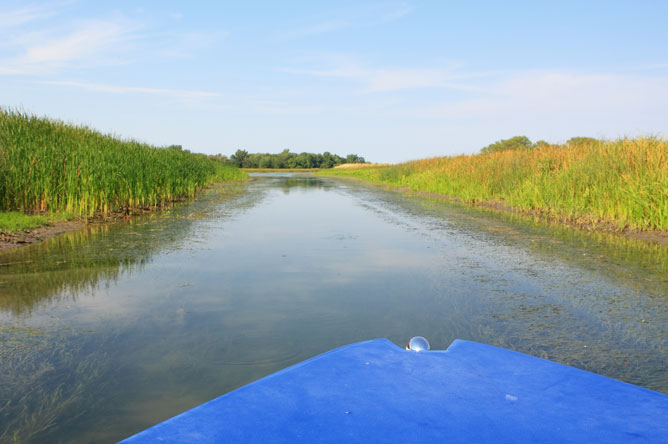 The prow of the Randonnée nature boat, pointing towards the end of a narrow channel.