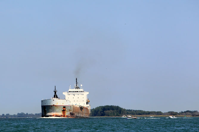 Bateaux de plaisance naviguant non loin d'un immense navire commercial sur le fleuve Saint-Laurent.