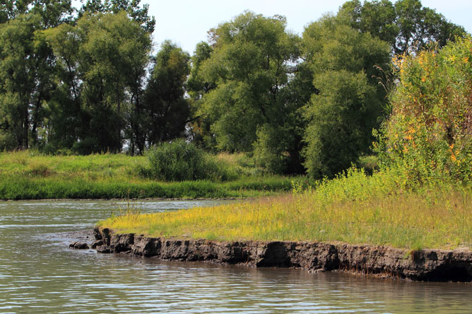 Eroded shoreline of a channel