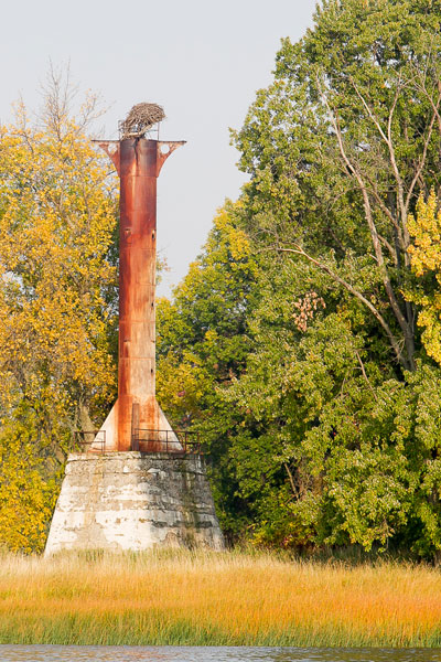 Osprey nest on top of an old range light.