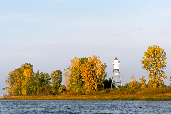 Grands arbres sur une île de l'archipel du lac Saint-Pierre