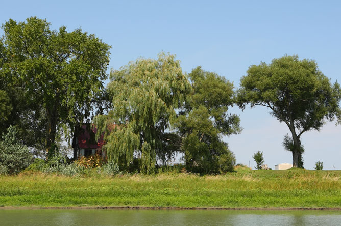 Cabin surrounded by tall trees on Île du Moine.