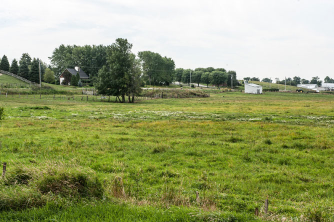 Pâturage fleuri et ferme