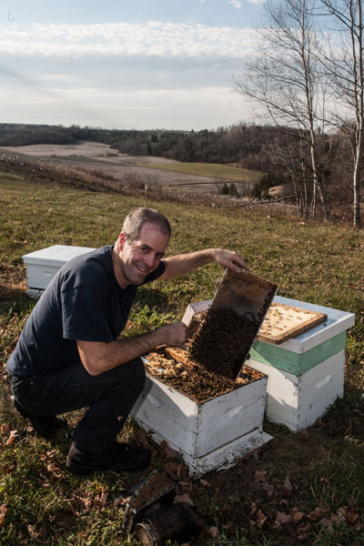 Beekeeper examining a frame covered in bees.