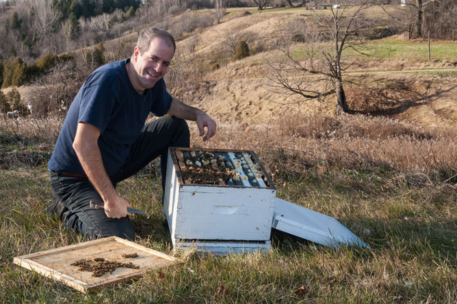 Beekeeper revealing the inside of a hive.