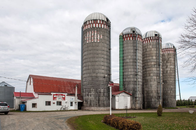 Bâtiment de ferme et cinq silos