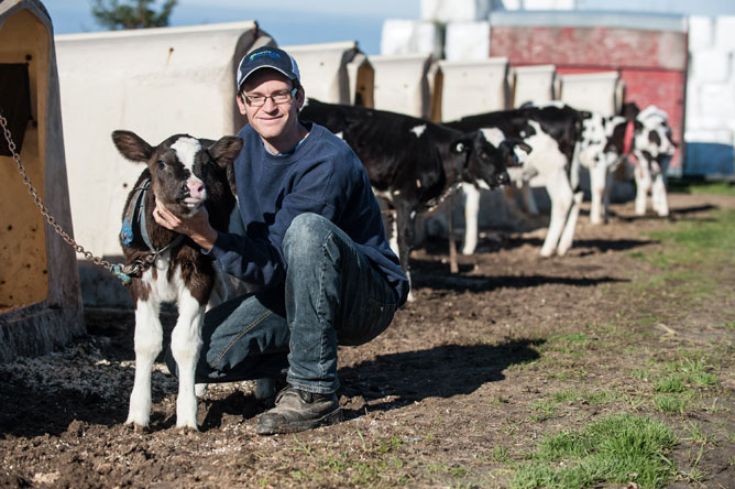 Jeune agriculteur tenant un veau noir et blanc par le cou.