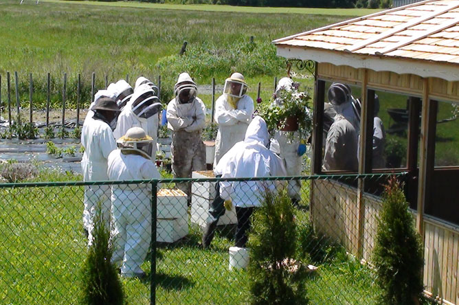 Several people wearing protective beekeeper clothing and hats.