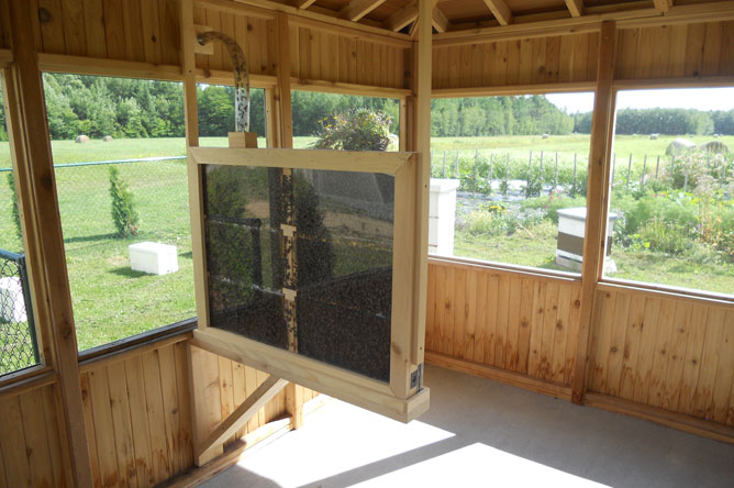 Glass-sided hive inside the gazebo