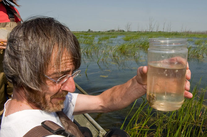 A man examines an egg in a container of water.