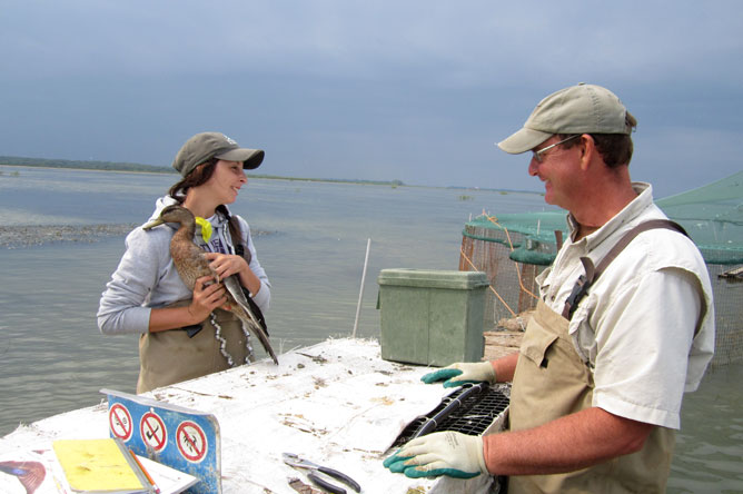 A woman holding a duck, with a man in the foreground.
