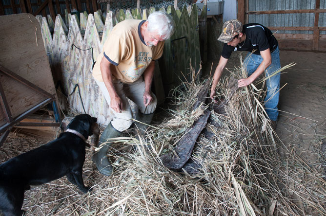 Two men cover a blind  in dry vegetation.