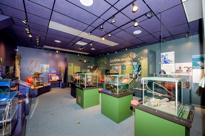 Displays, models and mounted animals in the permanent exhibit of the Centre d'interprétation de Baie-du-Febvre
