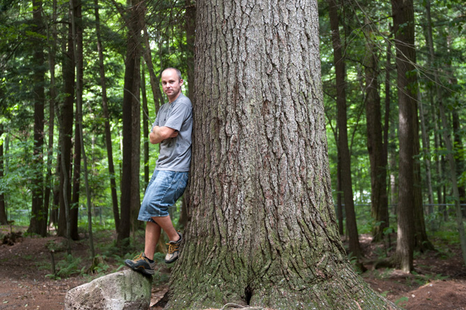 A man leaning against the trunk of an enormous pine tree.