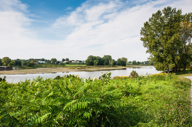 Abondante végétation sur les berges de la rivière Saint-François