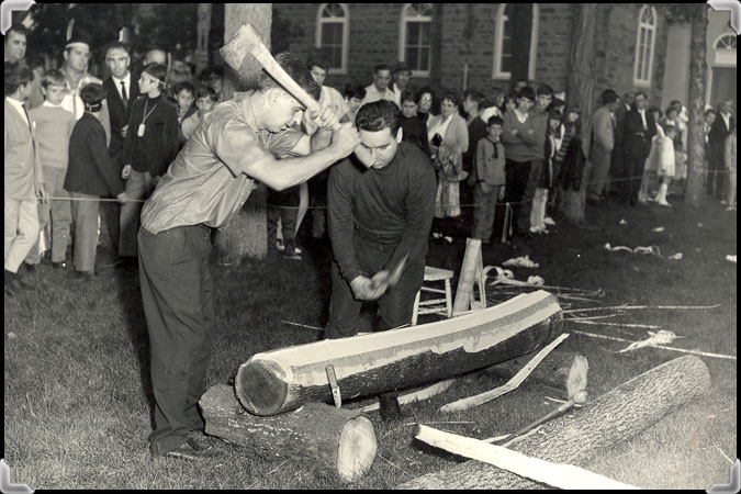 Two men use hatchets to pound on a black ash trunk and separate the annual growth rings; taken in the 1960s.