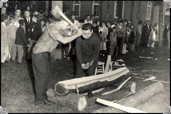 Deux hommes retirant les éclisses d'un frêne à l'aide de haches durant les années 1960.