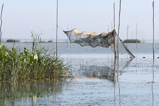 Filet utilisé par les pêcheurs commerciaux