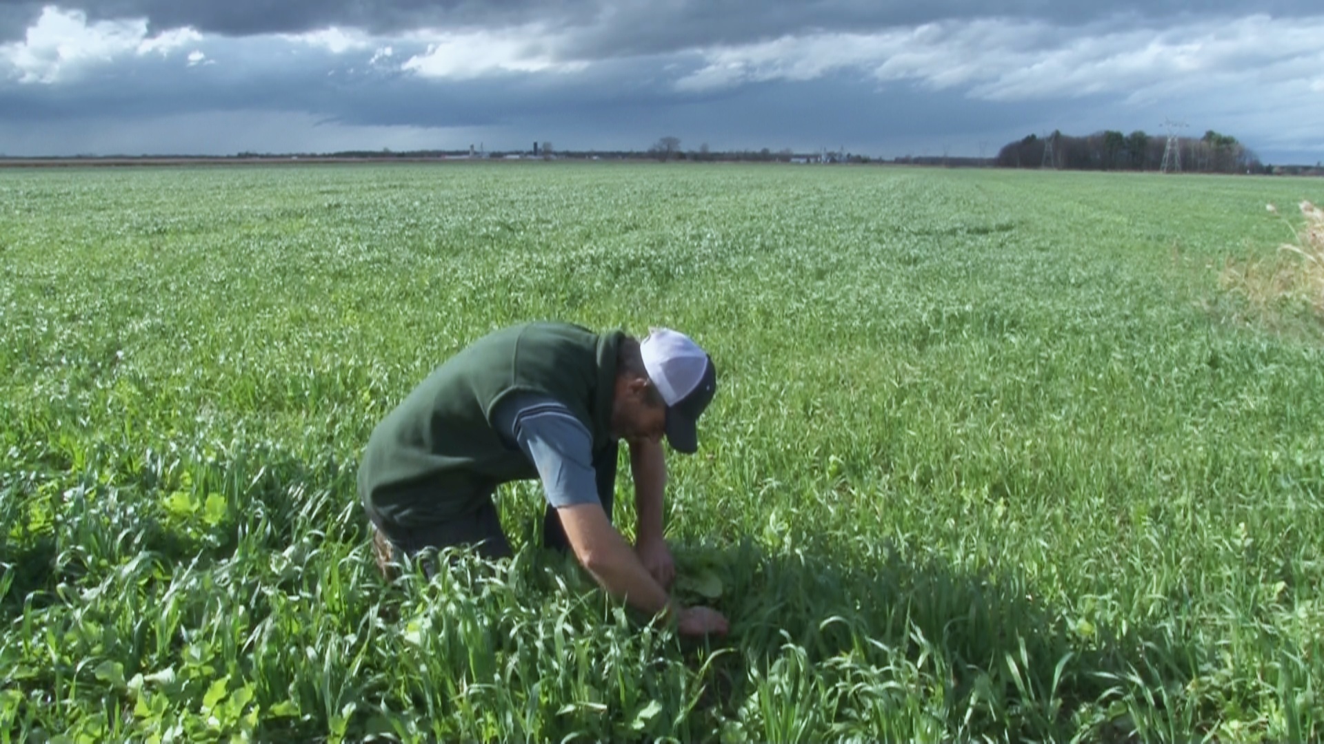 Interview with Paul Caplette about his environmentally responsible farming practices