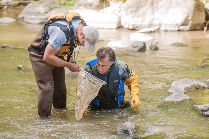 Deux hommes au milieu d'une rivière examinant les macroinvertébrés dans un filet.
