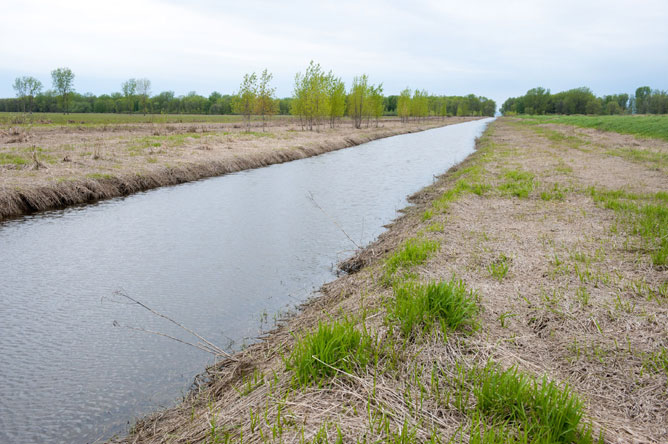 Canal d'amenée d'eau dans la plaine inondable au sud du lac Saint-Pierre