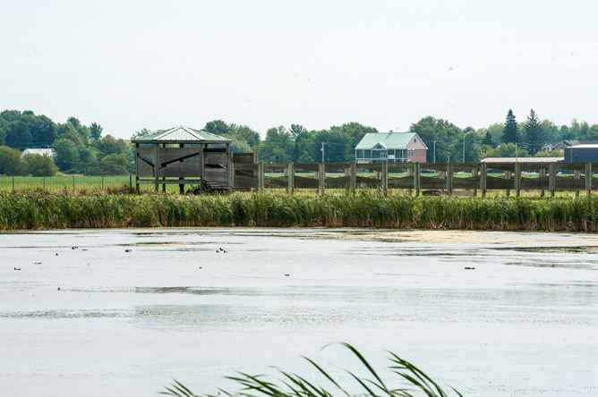 Birdwatching blind for observing geese and ducks in Baie-du-Febvre