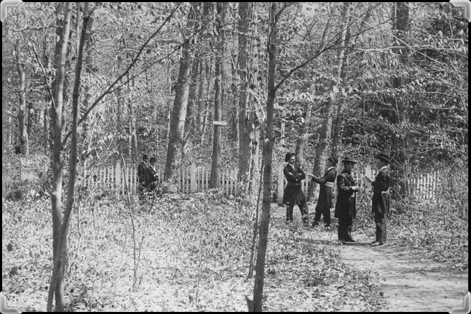 Six promeneurs portant des chapeaux melon dans le boisé du Séminaire de Nicolet vers 1898.