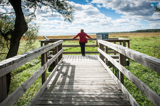 Une femme sur la passerelle du sentier de la Pointe-Yamachiche